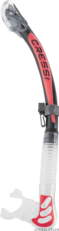 Obrazek 2156.jpeg