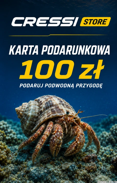 Karta podarunkowa 100 zł z krabem pustelnikiem.png